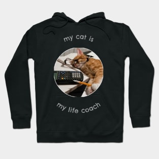 My Cat is My Life Coach Hoodie